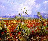 Field Canvas Paintings - A Field With Poppies